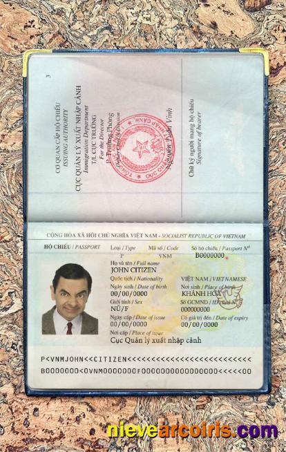 Vietnam passport photolook